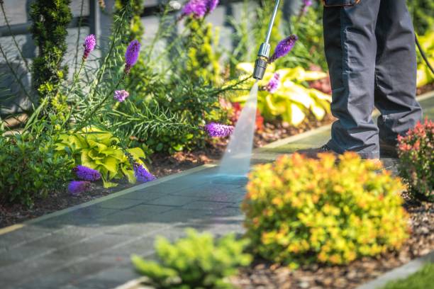 Best Animal Enclosure Cleaning  in Cumings, TX